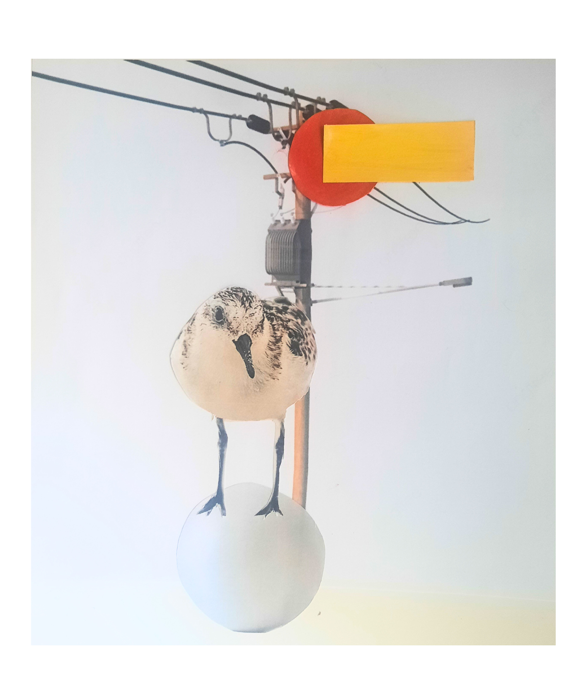 Conceptual collage "The Weight of Freedom"